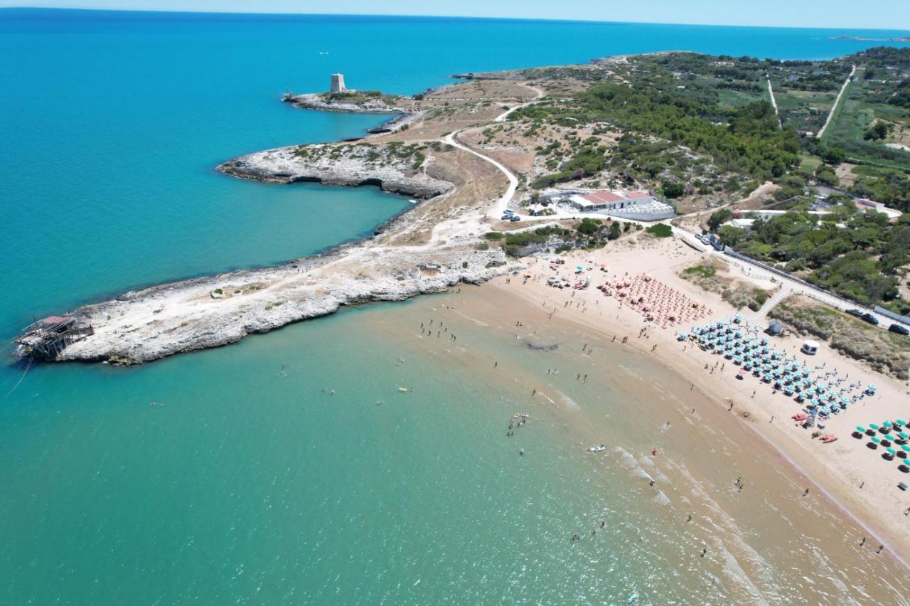 Villaggio Turistico Scialmarino Vieste Extérieur photo